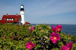 Maine on a beautiful calm day... by Shawn Jackson 